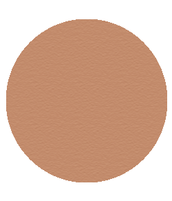 BRONZER COMPACT | Blush Bar Geelong | MAKEUP | HAIR | BROW | BLOW | BAR