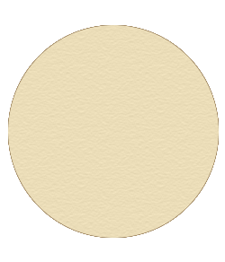 TRANSLUCENT BLOTTING POWDER | Blush Bar Geelong | MAKEUP | HAIR | BROW | BLOW | BAR