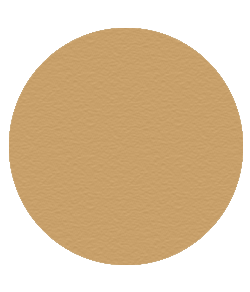 TRANSLUCENT BLOTTING POWDER | Blush Bar Geelong | MAKEUP | HAIR | BROW | BLOW | BAR
