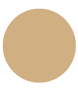 TRANSLUCENT BLOTTING POWDER | Blush Bar Geelong | MAKEUP | HAIR | BROW | BLOW | BAR