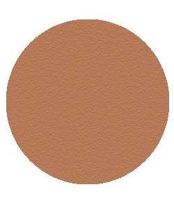 BRONZER COMPACT | Blush Bar Geelong | MAKEUP | HAIR | BROW | BLOW | BAR