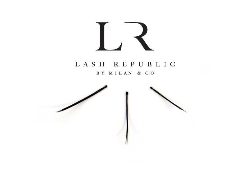 Individual Singles - Mixed Tray | Blush Bar Geelong | MAKEUP | HAIR | BROW | BLOW | BAR